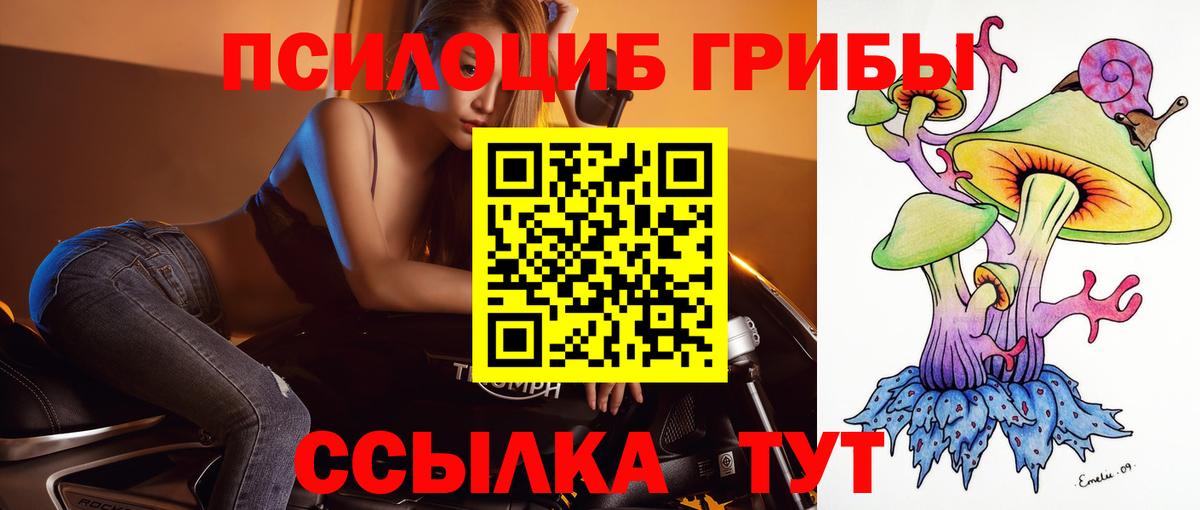 Галлюциногенные грибы мицелий Кропоткин